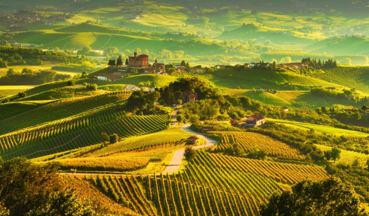 Najlepsze regiony winiarskie Toskanii