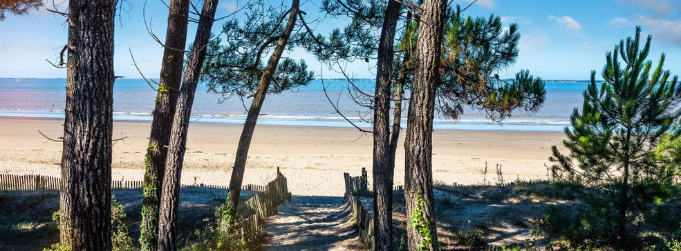 francja charente maritime droga na plażę