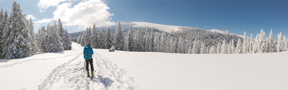 Styria zimowa panorama