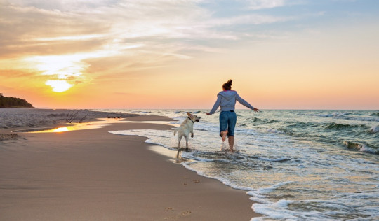 Plaże dla psów w Hiszpanii