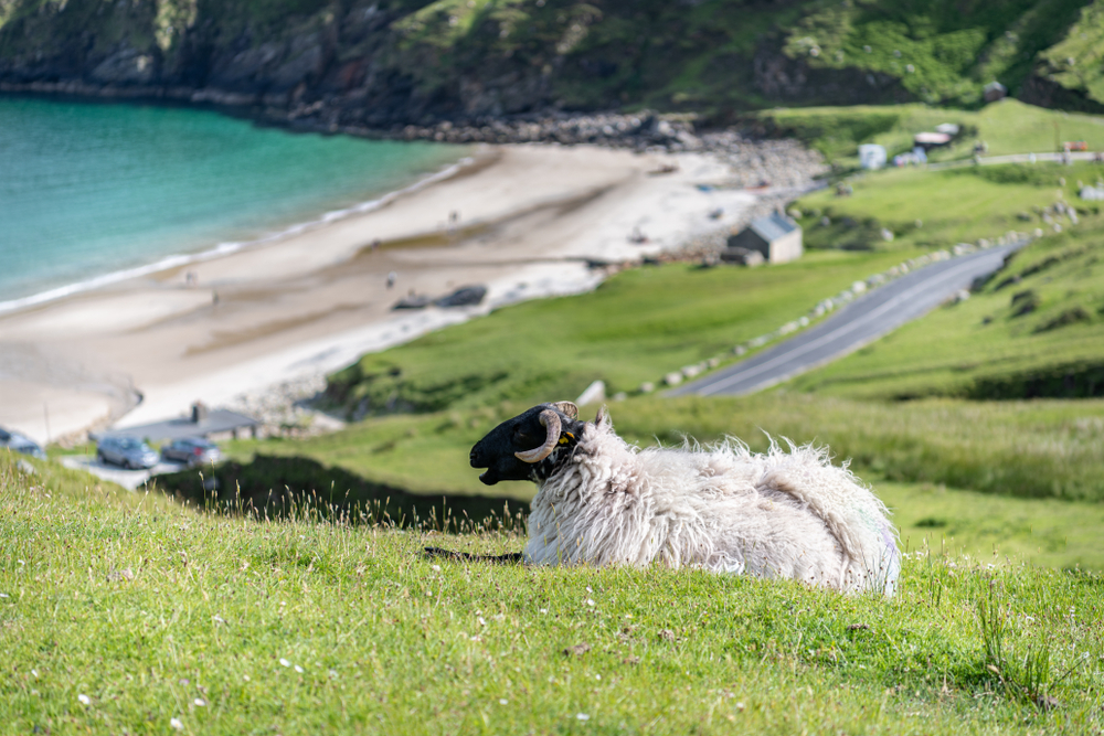 Wyspa Achill