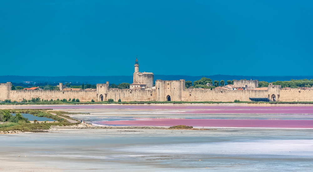 camargue fort de peccais swamp lakes