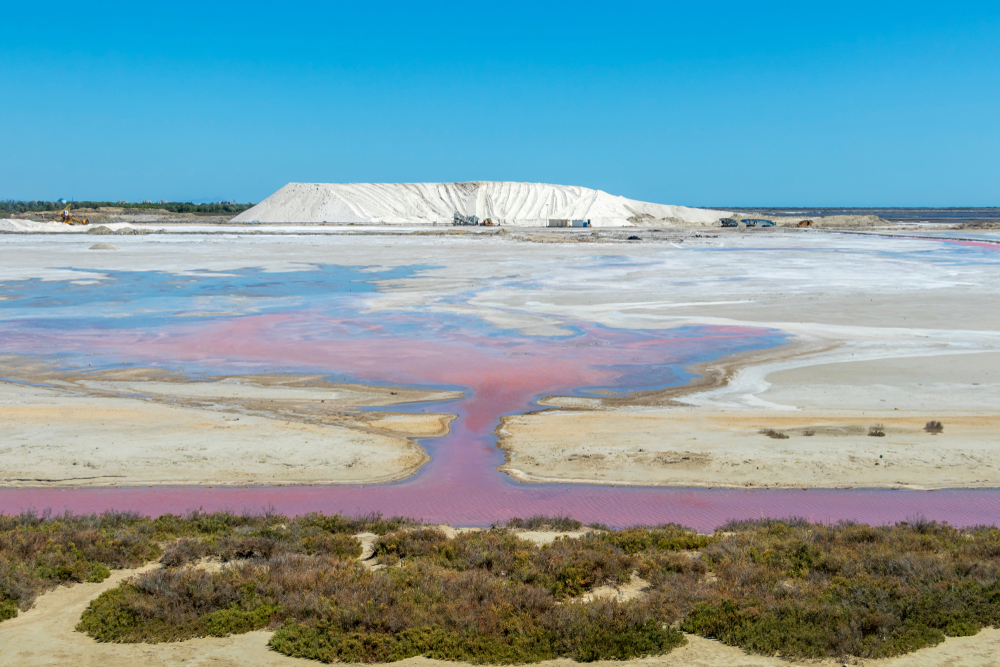 camargue baisse des bechets pink water reservoirs