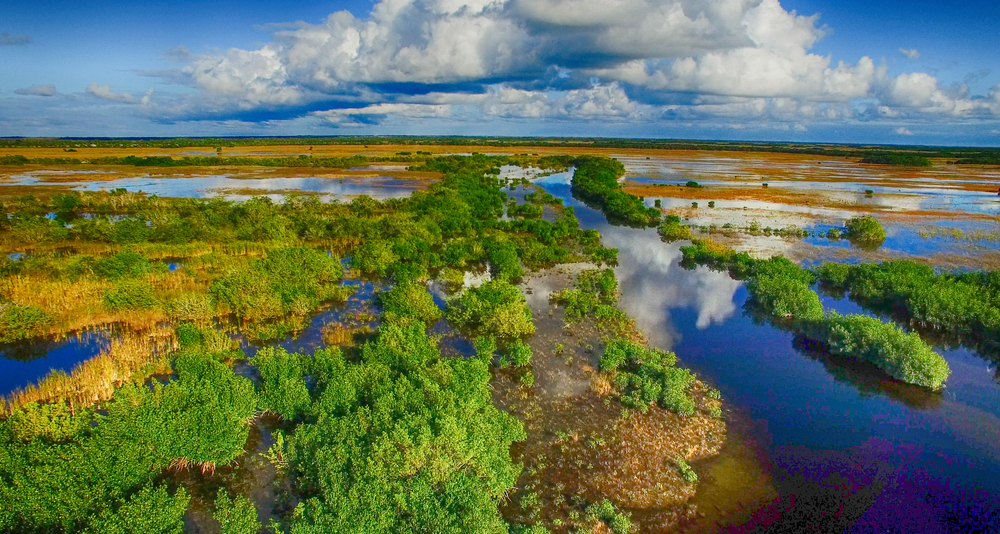 everglades