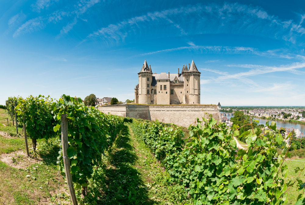Winnice zamku Chateau de Saumur