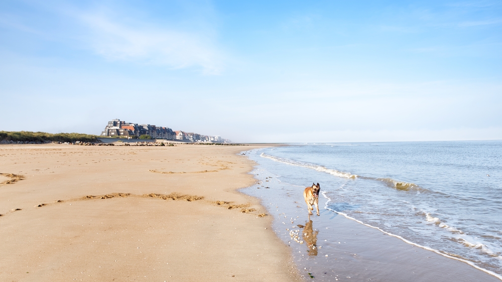 plaża w okolicach cabourg