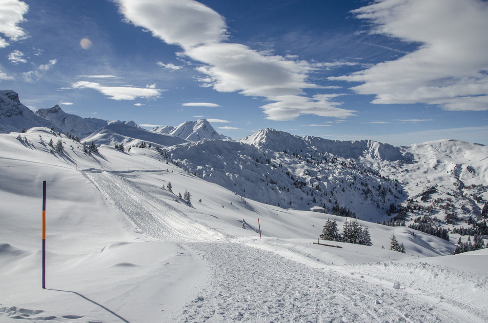 Simmental