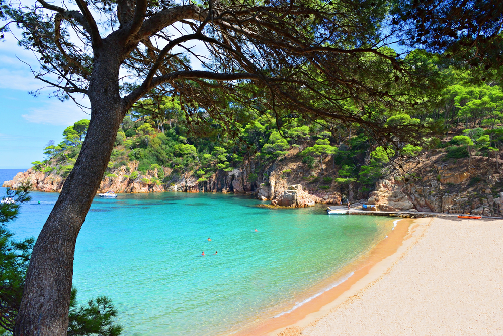 Zatoka i plaża Aiguablava