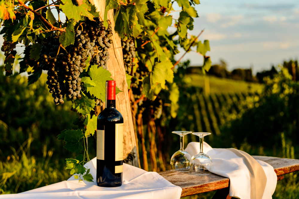 Wino Chianti Classico