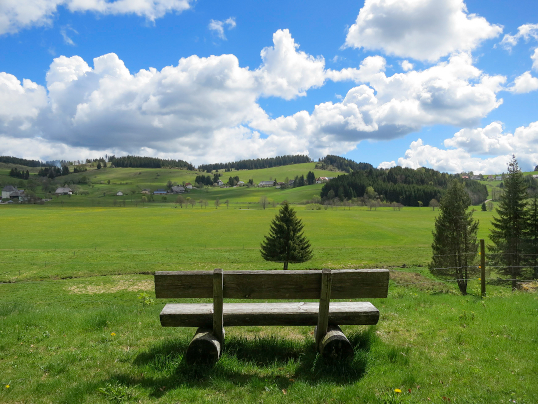 schwarzwald natura