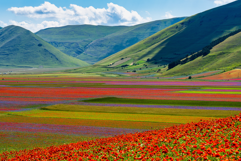 Castelluccio